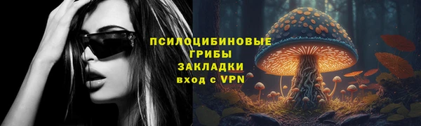 прущий лед Бородино