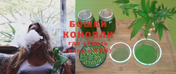 прущий лед Бородино